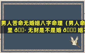 男人苦命无婚姻八字命理（男人命里 🌷 无财是不是婚 💐 姻不好）